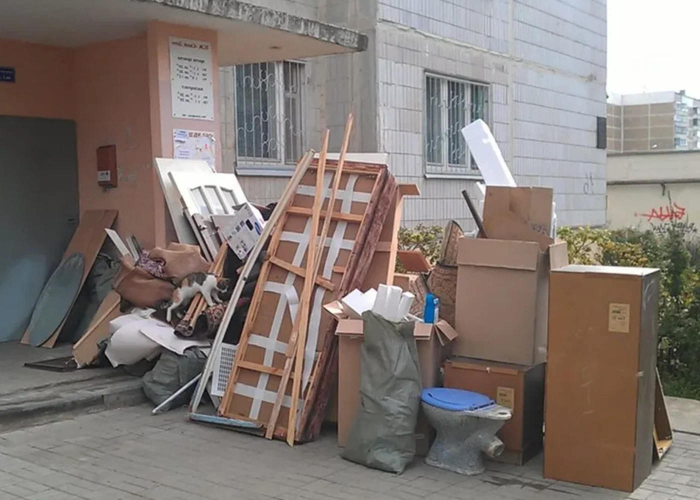 Профессиональный вывоз мусора из квартиры в Туймазы в октябре