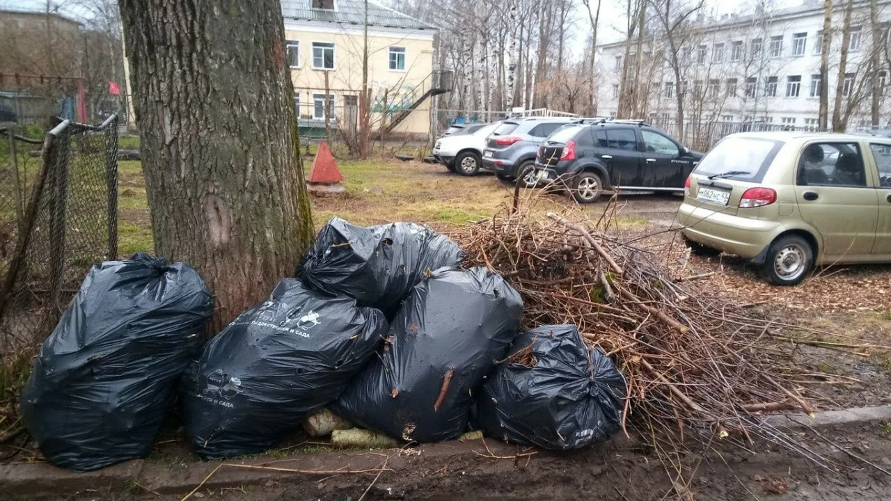 Вывоз мусора после субботника в Туймазы от ПроМусор – уборка и утилизация отходов от 2395 руб