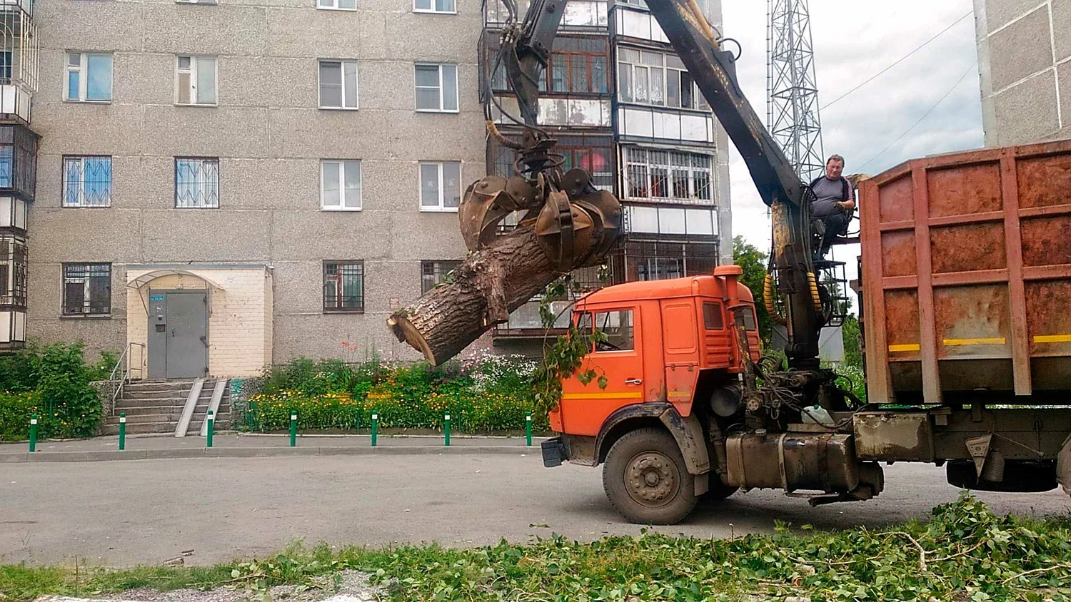 Вывоз спиленных веток и деревьев в Туймазы от ПроМусор: порубочные остатки, утилизация, цена от 2955 руб