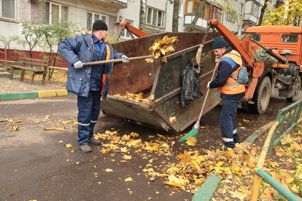 Вывоз опавшей листвы и растительного мусора в Туймазы от ПроМусор – цена от 4586 руб., быстрая уборка и утилизация